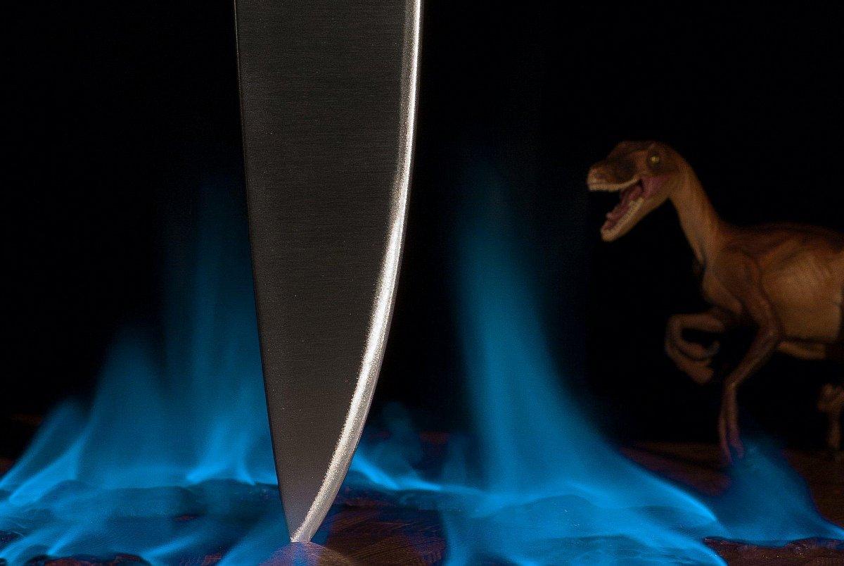 Шеф нож Samura REPTILE SRP-0085